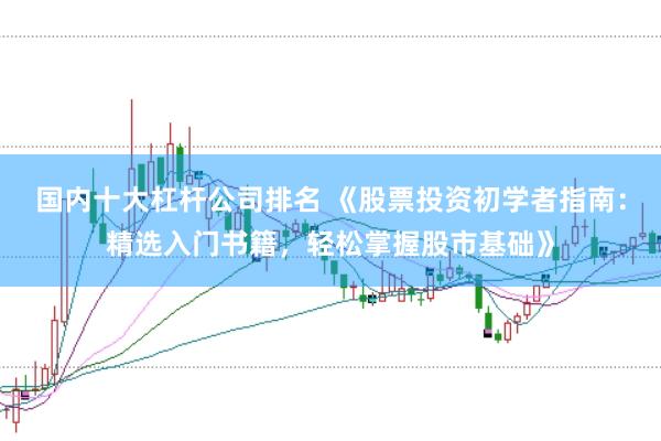 国内十大杠杆公司排名 《股票投资初学者指南：精选入门书籍，轻松掌握股市基础》